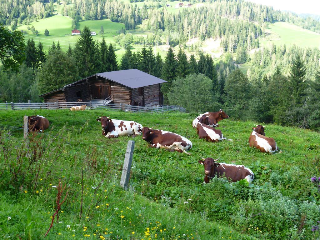 Appartements Oberhof Wagrain Exterior foto